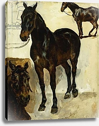 Постер Делакруа Эжен (Eugene Delacroix) Three Studies of Horses; Trois Etudes de Chevaux, c.1823