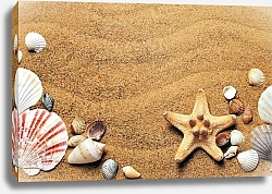 Постер Ракушки на песке