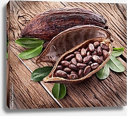 Постер Какао-плоды