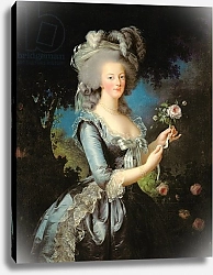 Постер Виджи-Лебран Элизабет Marie Antoinette with a Rose, 1783