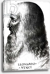Постер Школа: Итальянская 18в Portrait of Leonardo da Vinci, engraved by Francesco Bartolozzi