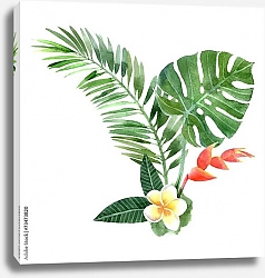 Постер Акварельные тропические растения