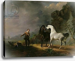 Постер Гилпин Соури (лошади) Gulliver Addressing the Houyhnhnms, 1769