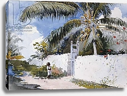Постер Хомер Уинслоу A Garden in Nassau, 1885