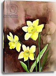 Постер Пушпарадж Нила (совр) golden daffodils
