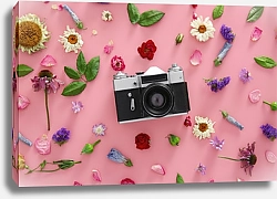 Постер Старинная камера и сухие цветы на розовом фоне