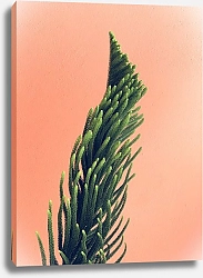 Постер Лист экзотического растения