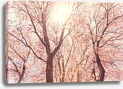 Постер Цветущие деревья в лучах солнца