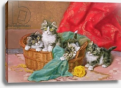 Постер Мерлин Даниэль Mischievous Kittens