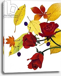 Постер Хируёки Исутзу (совр) Autumn leaves and rose,
