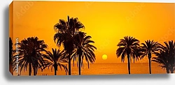 Постер Силуэты пальм на закате, Тенерифе, Испания