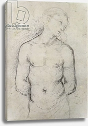 Постер Рафаэль (Raphael Santi) Saint Sebastian, 1499-1500
