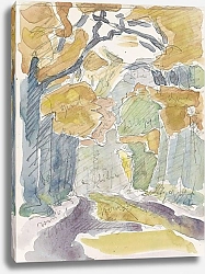 Постер Столк Рейер Bospad in de herfst