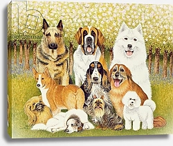 Постер Скотт Пэт (совр) Dogs in May
