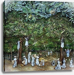 Постер Рив Джеймс (совр) Miraculous Vision of the Virgin in the Orange Orchard, 1996