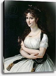 Постер Грос Барон Madame Pasteur