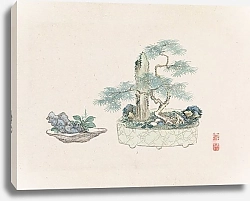 Постер Неизвестен Bonsai kabenzu, Pl.21