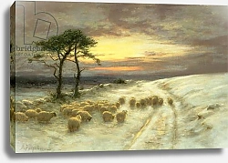 Постер Фаркарсон Джозеф Sheep in the Snow 1