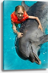 Постер Плавание с дельфином