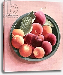 Постер Ливайн Томар Bowl of Fruit
