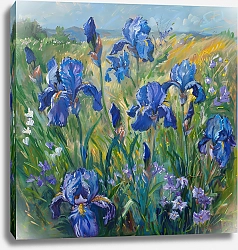 Постер Green meadow, blue irises