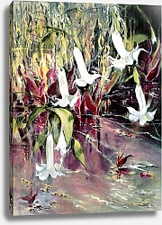 Постер Смит Мэри (совр) Daturas in Monet'sGarden