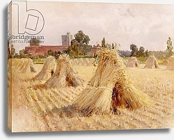 Постер Харди Эвелин Corn Stooks by Bray Church, 1872