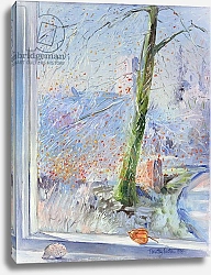 Постер Истон Тимоти (совр) Beech Tree and Haw Frost, 1989