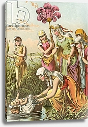 Постер Школа: Северная Америка (19 в) Finding of Moses