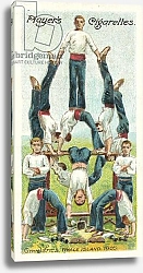 Постер Школа: Английская 20в. Gymnastics, Whale Island, 1905