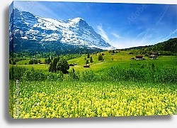 Постер Швейцария. Весенний горный пейзаж в Альпах