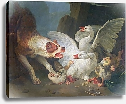 Постер Хью Жан-Батист A Dog Attacking Geese, 1769