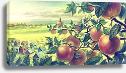 Постер Летний пейзаж и яблоки