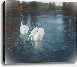 Постер Фалоу Фритц Swans on the river, c.1880
