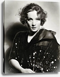 Постер Dietrich, Marlene 13