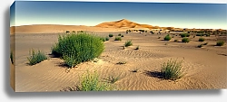 Постер Панорама пустыни Сахара, Марокко