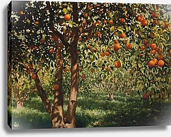 Постер Хампел Ангус (совр) Silence under the oranges II, 2012