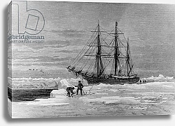 Постер Школа: Английская 19в. Arctic Exploration: The Eira, Mr Leigh Smith's Yacht, 1882