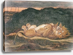 Постер Барье Антуан Lion Resting on his Back