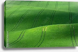 Постер Чехия. Зеленые поля Моравии