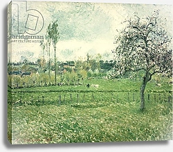 Постер Писсарро Камиль (Camille Pissarro) Meadow at Eragny, 1885