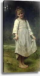 Постер Бугеро Вильям (Adolphe-William Bouguereau) Реверанс