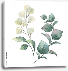 Постер Венок с зелеными листьями и ветвями эвкалипта