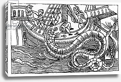 Постер Школа: Итальянская 16в. A Sea Serpent, from 'Historia de Gentibus Septentrionalibus' by Olaus Magnus published in Rome, 1555