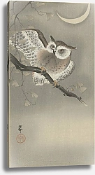 Постер Косон Охара Long-eared owl in ginkgo