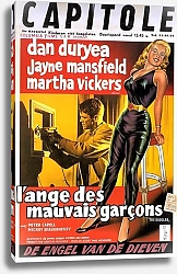 Постер Film Noir Poster - Burglar, The