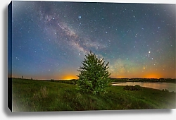 Постер Ночной пейзаж со звездным небом