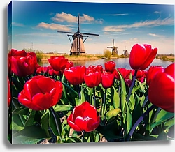 Постер Знаменитые голландские ветряные мельницы