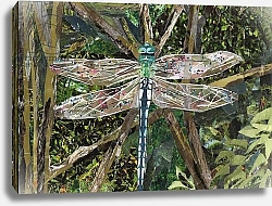 Постер Адамсон Кирсти (совр) Turquoise Dragonfly