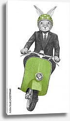 Постер Кролик на скутере